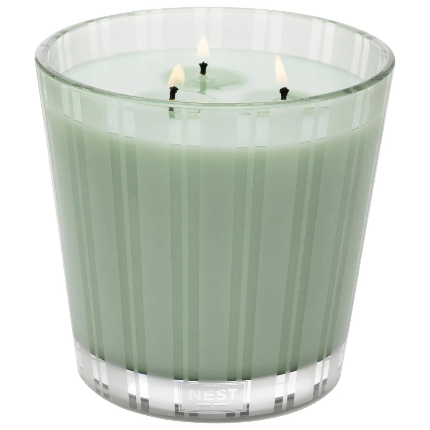 Diptyque Wild Mint & Eucalyptus Scented Candle - Earthy & Woody Fragrance for Relaxation and Stress Relief