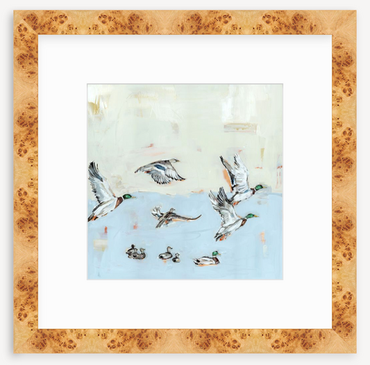 Taking Off Mallard Ducks Fine Art Print