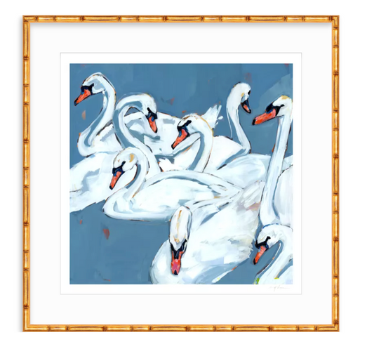 Swan Lake Swan Fine Art Print